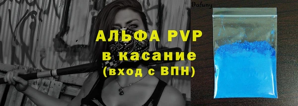 стаф Аркадак