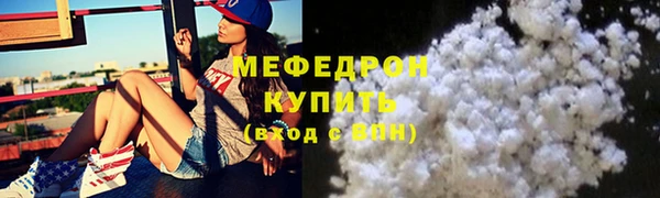стаф Аркадак