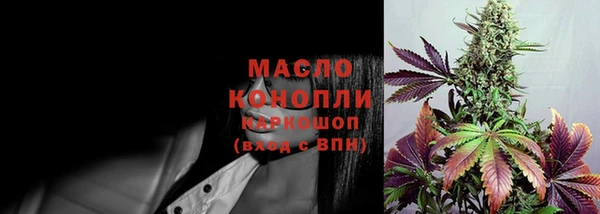 стаф Аркадак