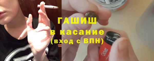 стаф Аркадак
