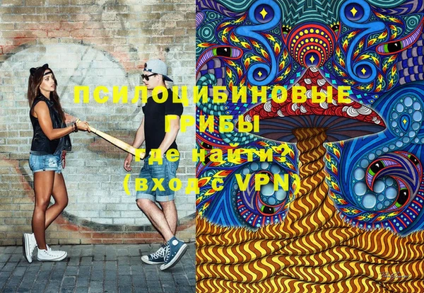 соль ск Армянск