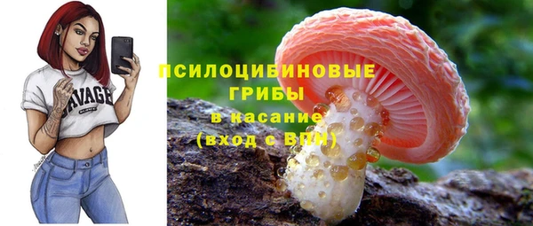 МДПВ Арсеньев