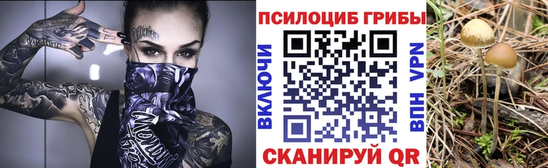 Псилоцибиновые грибы Psilocybe  купить наркотик  Пыталово 